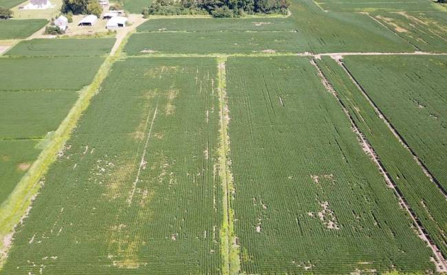 11.8 Acres Ballahack Road, Chesapeake, VA 23322