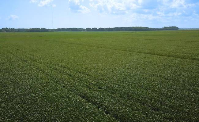 11.8 Acres Ballahack Road, Chesapeake, VA 23322