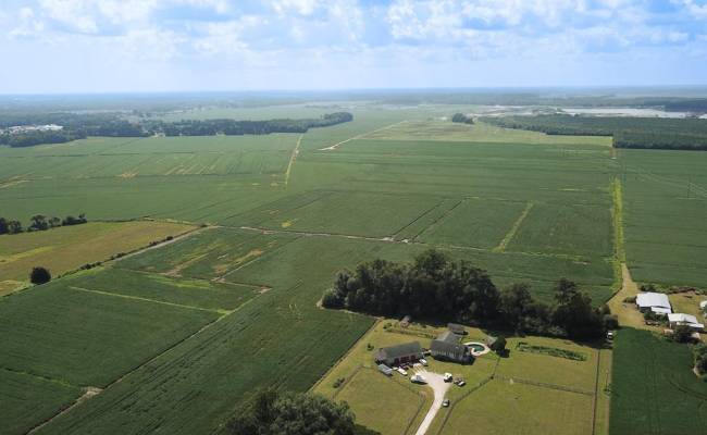 11.8 Acres Ballahack Road, Chesapeake, VA 23322