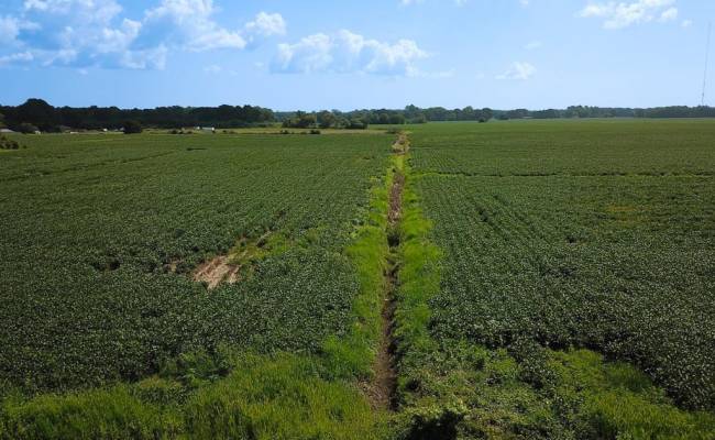 11.8 Acres Ballahack Road, Chesapeake, VA 23322