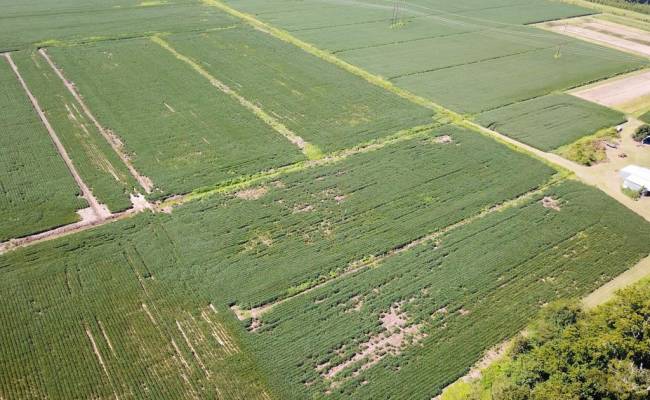 11.8 Acres Ballahack Road, Chesapeake, VA 23322