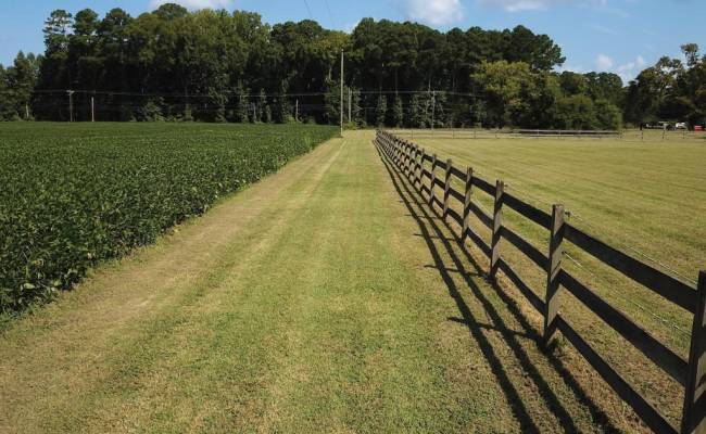 11.8 Acres Ballahack Road, Chesapeake, VA 23322