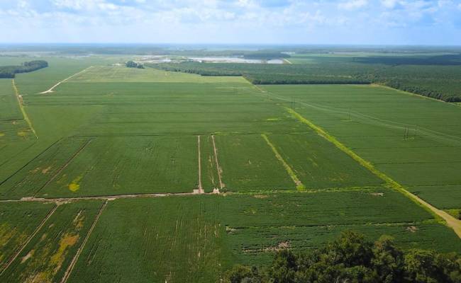 11.8 Acres Ballahack Road, Chesapeake, VA 23322