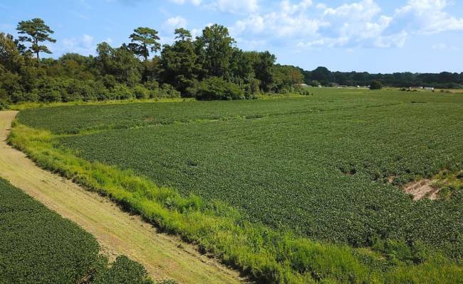 11.8 Acres Ballahack Road, Chesapeake, VA 23322