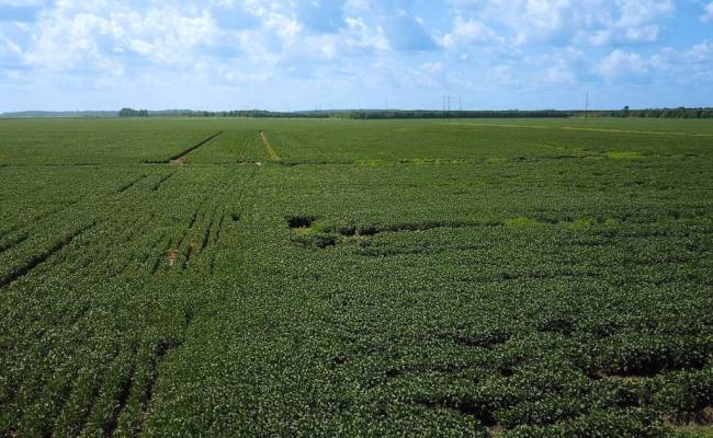 11.8 Acres Ballahack Road, Chesapeake, VA 23322