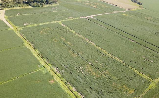 11.8 Acres Ballahack Road, Chesapeake, VA 23322