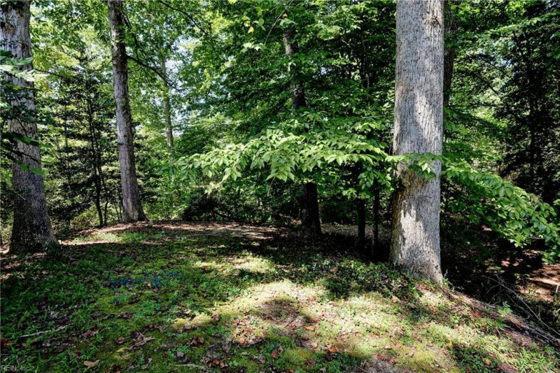 Photo 43 of 47 residential for sale in Williamsburg virginia