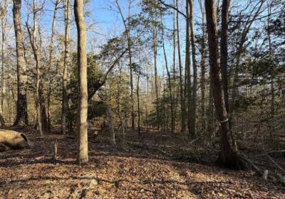 4.68AC King William Road, King William County, VA 23086
