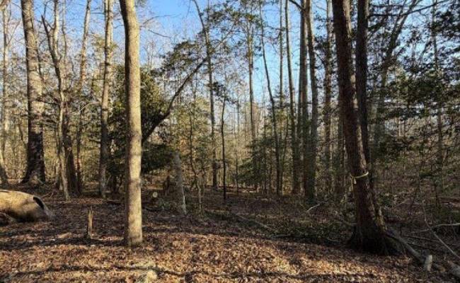 4.68AC King William Road, King William County, VA 23086