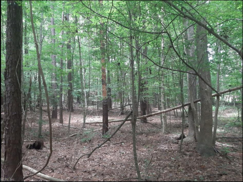 Photo 3 of 4 land for sale in Virginia Beach virginia Photo 3 of 4 land for sale in Virginia Beach virginia