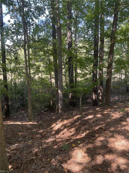 Photo 23 of 27 residential for sale in Suffolk virginia