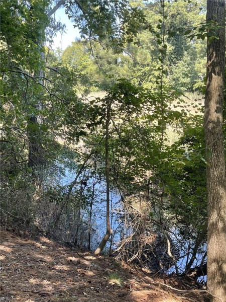 Photo 24 of 27 residential for sale in Suffolk virginia