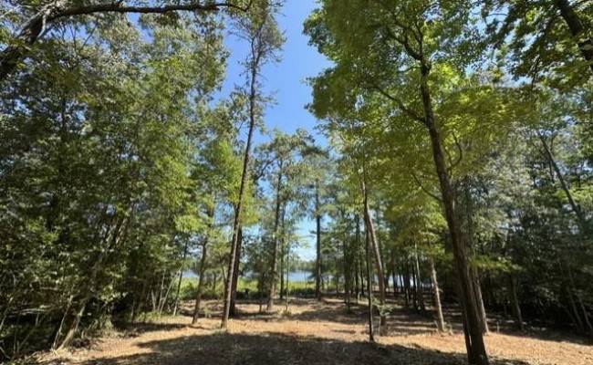 3 Lots Highgate Lane, Gloucester County, VA 23061
