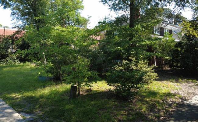 1142 Larchmont Crescent, Norfolk, VA 23508