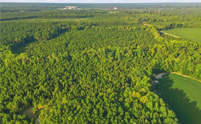 TBD Brunswick Road, Emporia, VA 23847