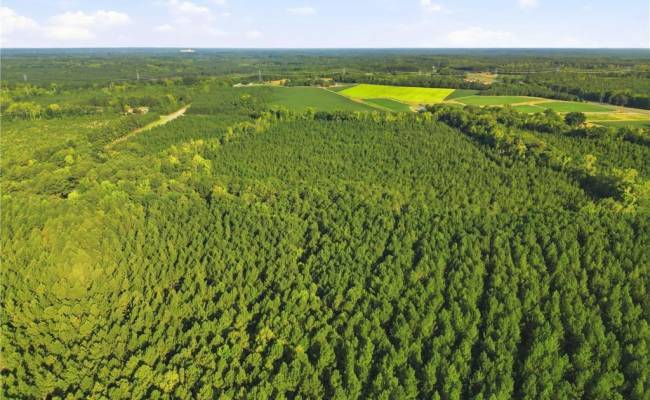 TBD Brunswick Road, Emporia, VA 23847
