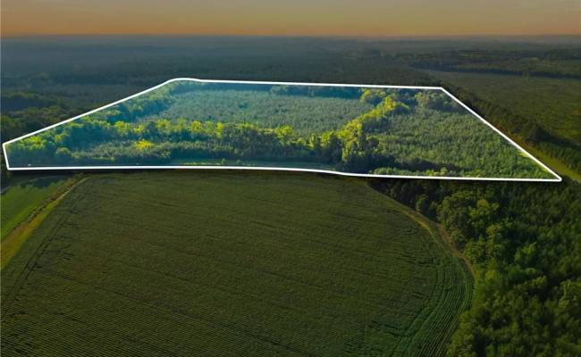 TBD Brunswick Road, Emporia, VA 23847