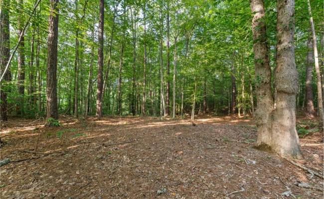 Lot 9 Deerwood Court, Gloucester County, VA 23061