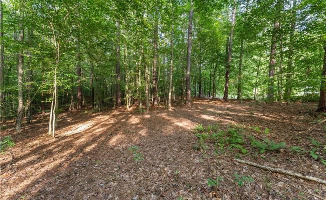 Lot 9 Deerwood Court, Gloucester County, VA 23061