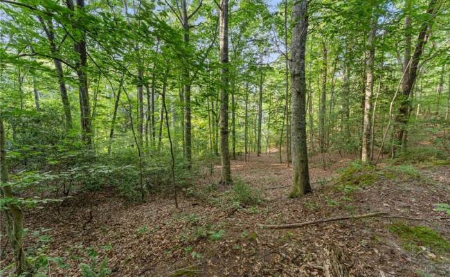 Lot 9 Deerwood Court, Gloucester County, VA 23061