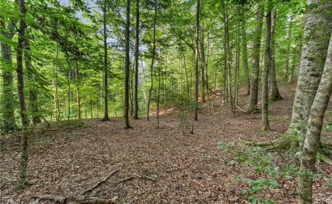 Lot 9 Deerwood Court, Gloucester County, VA 23061