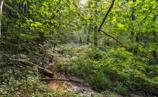 Lot 9 Deerwood Court, Gloucester County, VA 23061