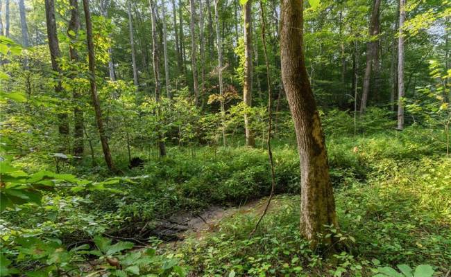Lot 9 Deerwood Court, Gloucester County, VA 23061