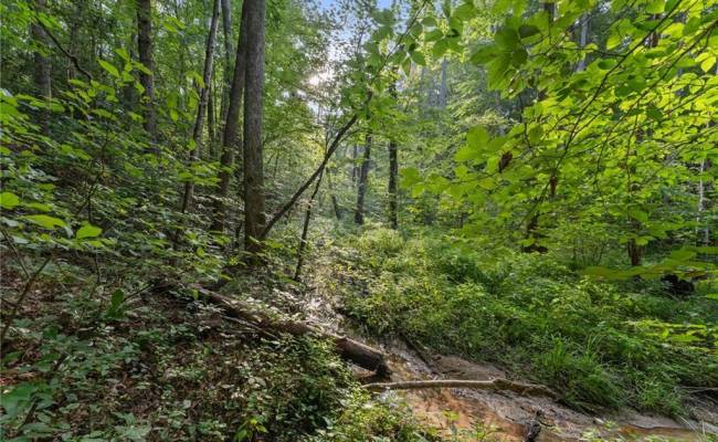 Lot 9 Deerwood Court, Gloucester County, VA 23061