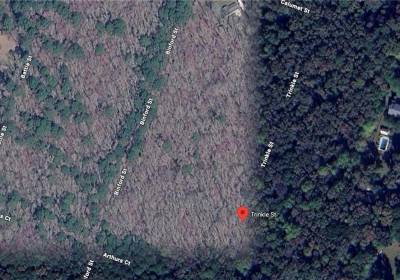 0.229 Trinkle Street, Chesapeake, VA 23322