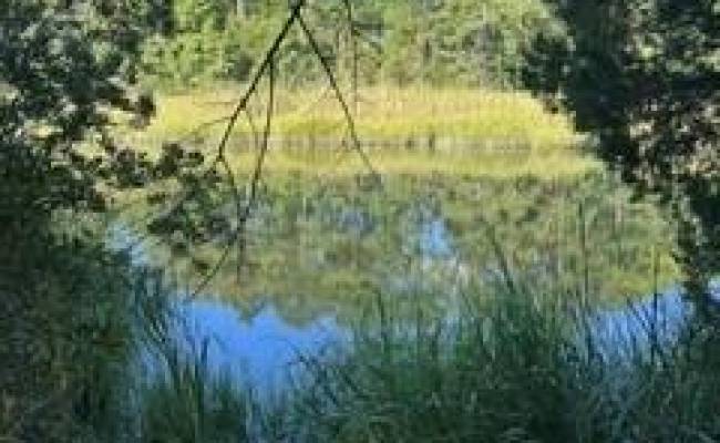 4 ACRE Gayle Way, Isle of Wight County, VA 23314