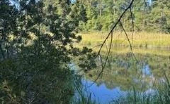 4 ACRE Gayle Way, Isle of Wight County, VA 23314