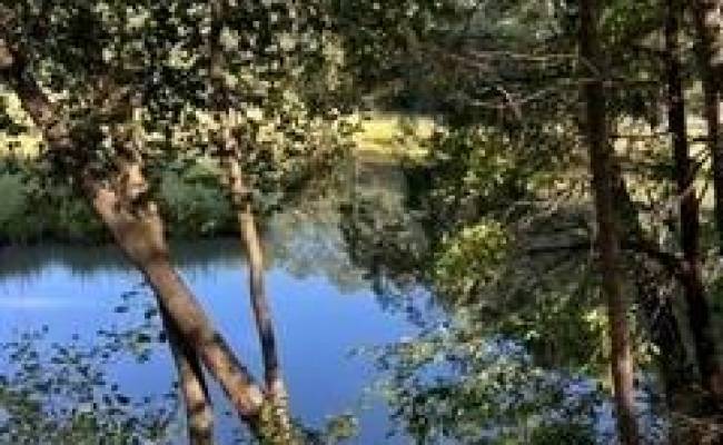 4 ACRE Gayle Way, Isle of Wight County, VA 23314