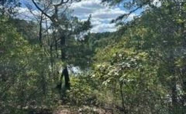 4 ACRE Gayle Way, Isle of Wight County, VA 23314