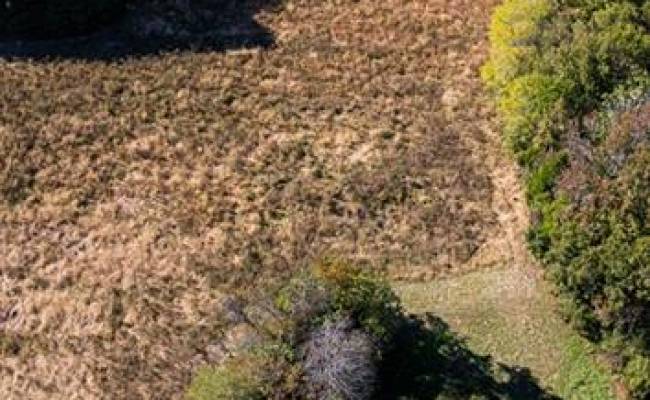 42-14 Chippokes Farm Road, Surry County, VA 23883