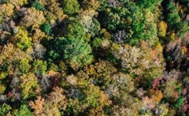 42-14 Chippokes Farm Road, Surry County, VA 23883