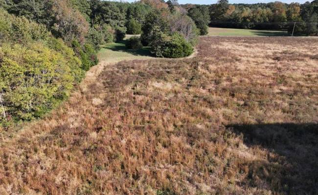 42-14 Chippokes Farm Road, Surry County, VA 23883