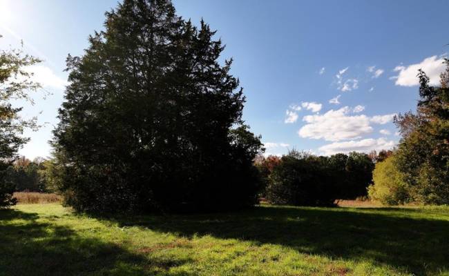 42-14 Chippokes Farm Road, Surry County, VA 23883