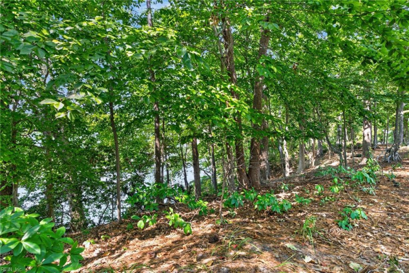 Photo 48 of 50 residential for sale in Suffolk virginia Photo 48 of 50 residential for sale in Suffolk virginia