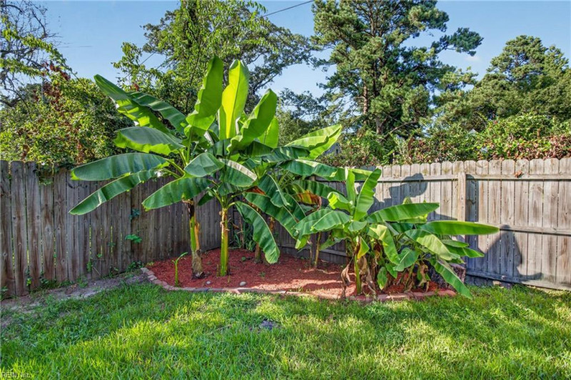 Photo 41 of 48 residential for sale in Norfolk virginia