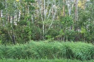104 Spindrift Trail, Pasquotank County, NC 27909