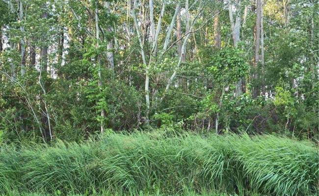 104 Spindrift Trail, Pasquotank County, NC 27909