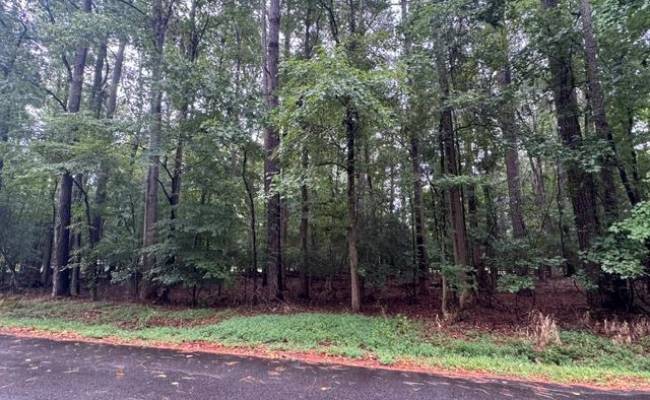 17C Comanche Trail, Perquimans County, NC 27944 photo 7