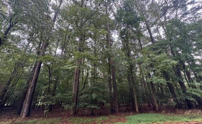 17C Comanche Trail, Perquimans County, NC 27944 photo 8