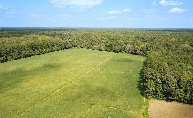 42.4 Acres Benefit Road, Chesapeake, VA 23322 photo 10