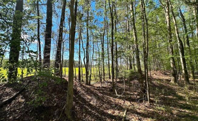42.4 Acres Benefit Road, Chesapeake, VA 23322 photo 12