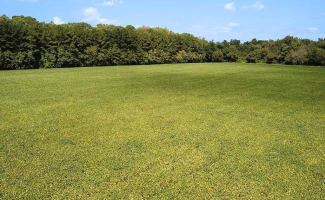 42.4 Acres Benefit Road, Chesapeake, VA 23322 photo 13