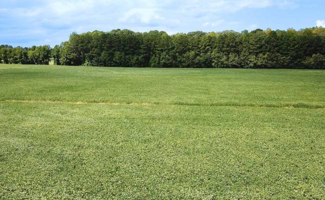 42.4 Acres Benefit Road, Chesapeake, VA 23322 photo 15