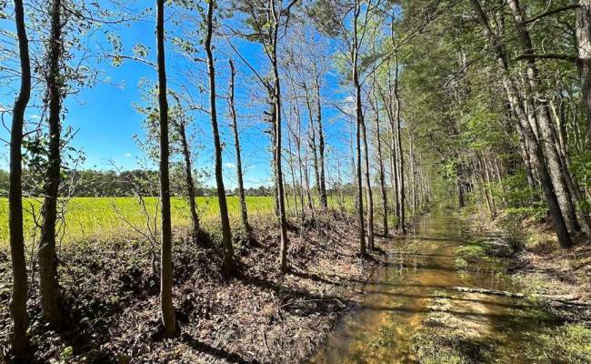 42.4 Acres Benefit Road, Chesapeake, VA 23322 photo 17