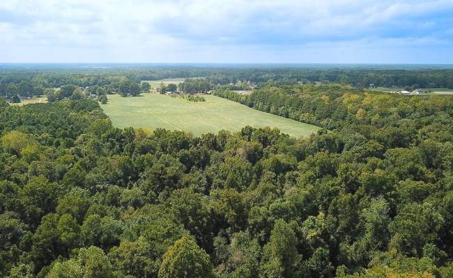 42.4 Acres Benefit Road, Chesapeake, VA 23322 photo 20