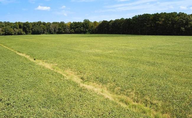 42.4 Acres Benefit Road, Chesapeake, VA 23322 photo 21